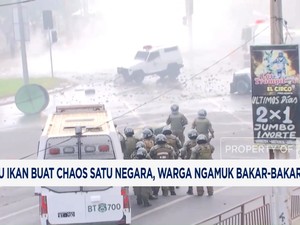 Video: UU Ikan Buat Chaos Satu Negara, Warga Ngamuk Bakar-bakaran