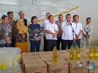 Bukan Cuma 1, Ternyata Ada 66 Perusahaan Nakal Curangi Minyakita