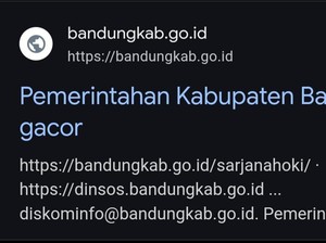 Situs Resmi Pemkab Bandung Diretas, Disusupi Pesan Judol!