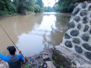 Mengenal Nama-nama Ikan Endemik Sungai di Priangan Timur