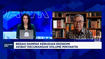 Video: Harga CPO Tinggi Beratkan Produsen, Harga Minyakita Harus Naik?
