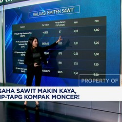 Video: Laba Emiten Sawit Kompak Meroket, Ada AALI Hingga TAPG
