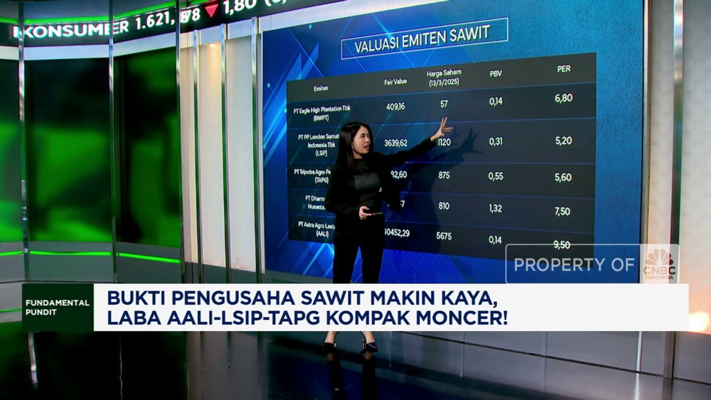 Raih Cuan Fantastis! Saham Sawit Melejit di 2024!