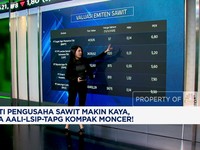 Video: Laba Emiten Sawit Kompak Meroket, Ada AALI Hingga TAPG