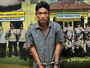 Pria di Prabumulih Ditangkap Polisi karena Curi Ribuan Buah Nanas
