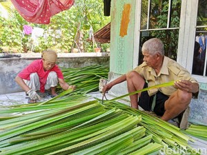 Asa Yusup di Tengah Anjloknya Harga Daun Pandan