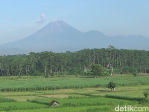 Gunung Semeru Erupsi 2 Kali Pagi Ini
