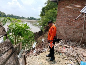 Dua Rumah di Bantaran Bengawan Solo Bojonegoro Longsor