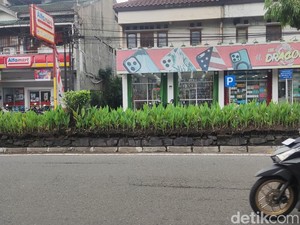 Taman di Median Jalan Gejayan Dipercantik, Bakal Ada Tabebuya