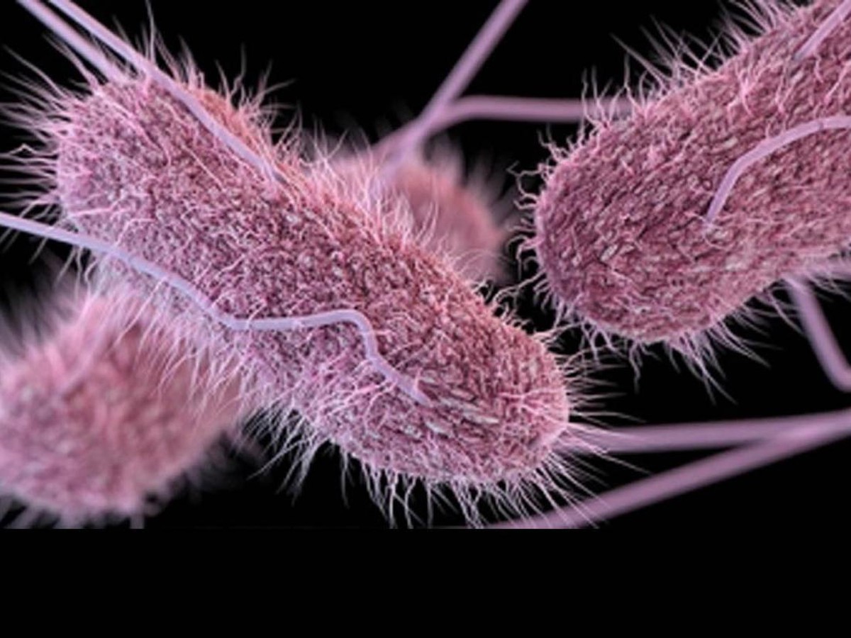 Penemuan 26 Spesies Bakteri Mars di Ruang Bersih NASA dan Risiko Kontaminasi Antariksa