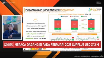Video: BPS: Neraca Dagang RI Februari 2025 Surplus USD 3,12 Miliar