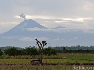 Gunung Semeru Erupsi 2 Kali, Luncurkan Abu Vulkanik Setinggi 800 Meter
