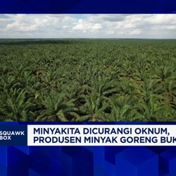 Video: Cegah Kasus Minyakita, Harga CPO Dalam Negeri Harus Terjangkau