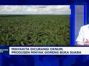 Video: Cegah Kasus Minyakita, Harga CPO Dalam Negeri Harus Terjangkau