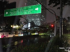 Video: Pohon Tumbang Timpa 2 Mobil di Kebon Sirih, Ada Korban Terjebak