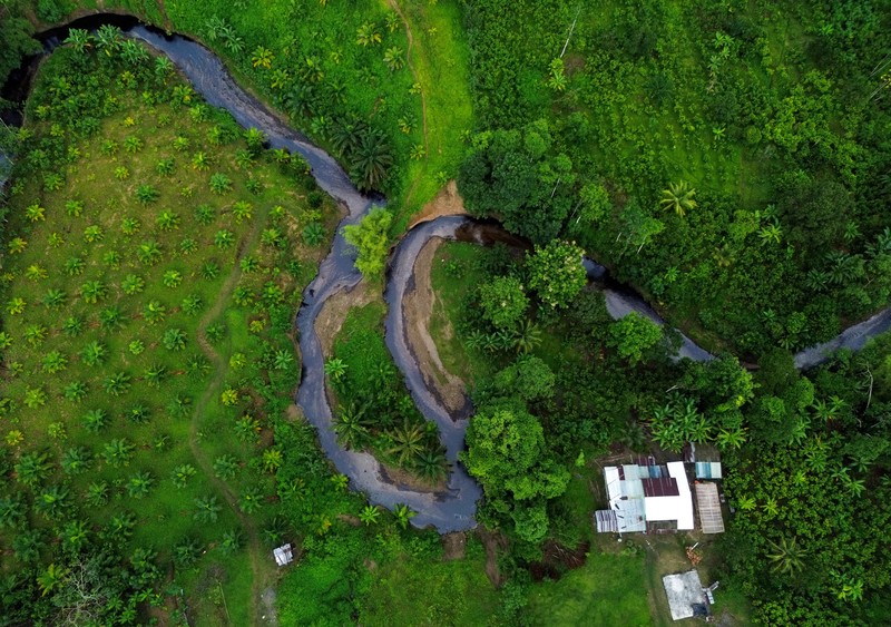 Sungai terkontaminasi tumpahan minyak di Esmeraldas, Ekuador. (REUTERS/Cristina Vega)