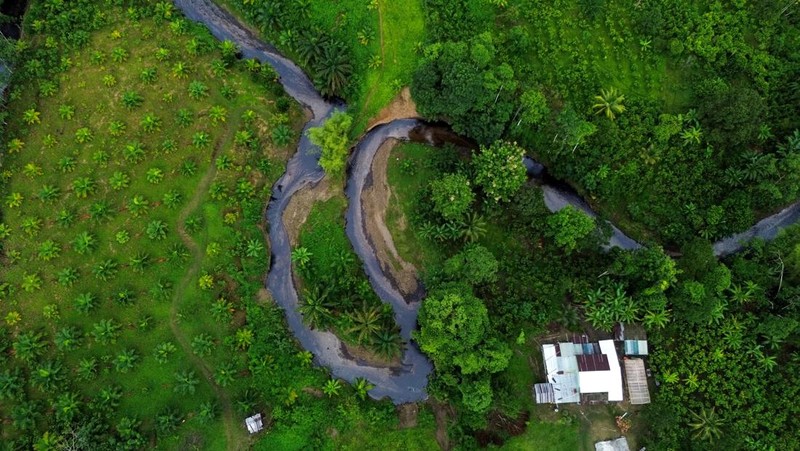Sungai terkontaminasi tumpahan minyak di Esmeraldas, Ekuador. (REUTERS/Cristina Vega)