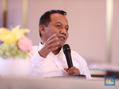 Tiba-Tiba Ada Kajian DMO Emas, Begini Penjelasan Dirjen Minerba