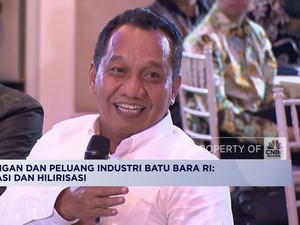 Video: Dirjen Minerba Jelaskan Alasan Penetapan HBA & Kenaikan Royalti