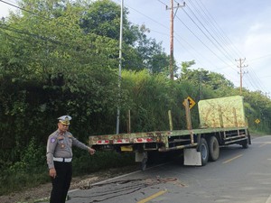 Tabrak Truk Fuso di Pinggir Jalan Kupang, Dua Pemuda Tewas