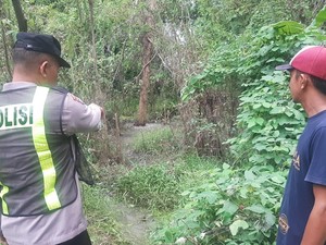 Heboh Semburan Air Muncul dari Bawah Pohon Klampis di Bojonegoro