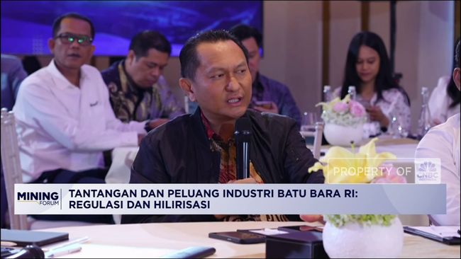 Ormas-UMKM Dapat Izin Pertambangan, Ini Kata DPR