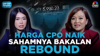 Rumor Saham: Harga CPO Naik, Sahamnya Bakalan Rebound?