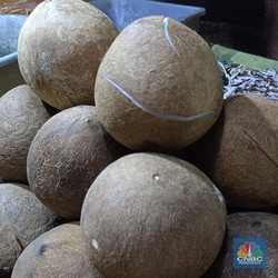 Bukan Lebaran, Pedagang Tunjuk Biang Kerok Harga Kelapa Meroket