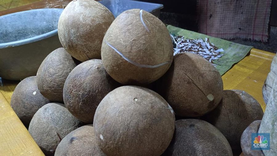 Pantauan harga kelapa di Pasar Senen, Jakarta Pusat, Selasa (18/3/2025). (CNBC Indonesia/Martyasari Rizky)