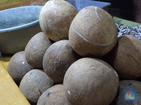 Bukan Lebaran, Pedagang Tunjuk Biang Kerok Harga Kelapa Meroket
