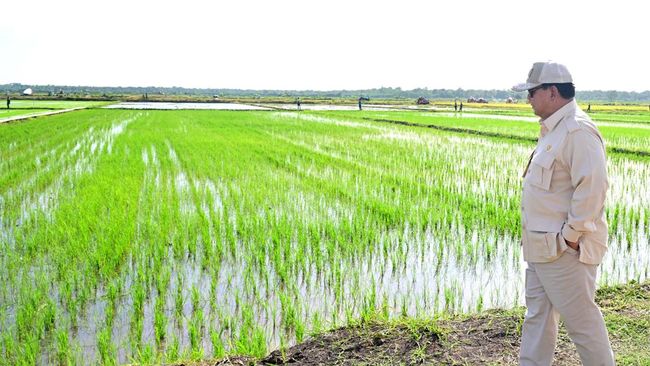 Pemilik Sawah Bakal Full Senyum, Prabowo Mau Kasih ‘Hadiah’ Ini