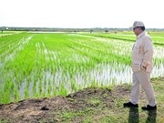 Ijtihad Politik Pangan Prabowo