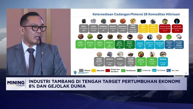 RI Punya Cadangan Batubara Terbesar ke-7 di Dunia