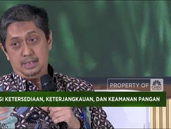 Video: Anak Buah Zulhas Ungkap Tantangan Capai Swasembada Pangan