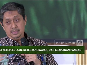 Video: Anak Buah Zulhas Ungkap Tantangan Capai Swasembada Pangan
