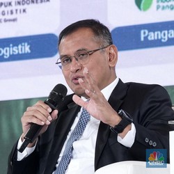 Demi RI Surplus Beras, Pupuk Indonesia Siap Gelontorkan Rp116 T