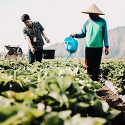 Komitmen Nyata BRI Terapkan Prinsip ESG Demi Bisnis Berkelanjutan