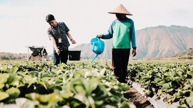 Komitmen Nyata BRI Terapkan Prinsip ESG Demi Bisnis Berkelanjutan