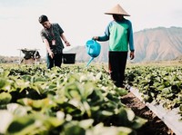 Komitmen Nyata BRI Terapkan Prinsip ESG Demi Bisnis Berkelanjutan
