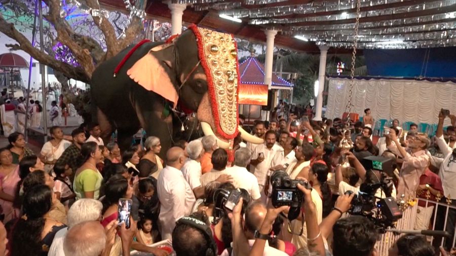 Gajah Robot Akan Menggantikan Gajah Asli di Kuil India. (Tangkapan Layar Video AFPTV)