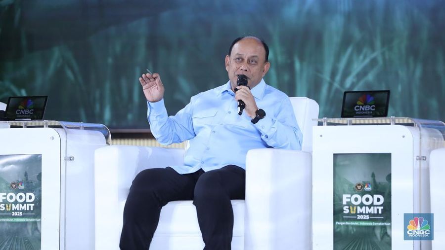 Kepala Badan Gizi Nasional, Dadan Hindayana menyampaikan paparan dalam acara Food Summit 2025 di Jakarta, Rabu (19/3/2025). (CNBC Indonesia/Tri Susilo)