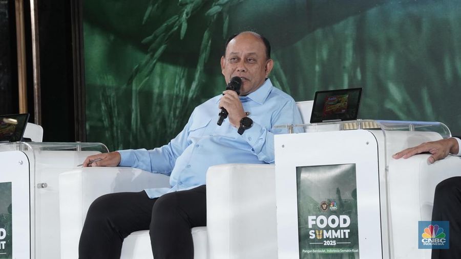 Kepala Badan Gizi Nasional, Dadan Hindayana menyampaikan paparan dalam acara Food Summit 2025 di Jakarta, Rabu (19/3/2025). (CNBC Indonesia/Muhammad Sabki)