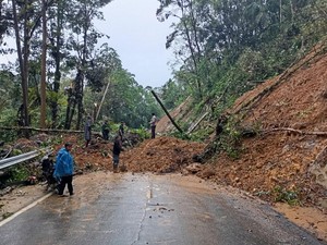 Longsor Tutup Jalan Trans Sulawesi di Mangkutana Luwu Timur, Lalin Lumpuh