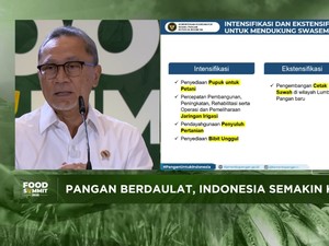 Video: Zulhas & Arah Kedaulatan Pangan RI Setelah 28 Tahun Reformasi