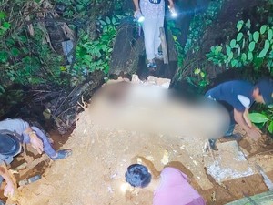 Pohon di TPU Palembang Tumbang, 1 Makam Terangkat hingga Tengkorak Keluar