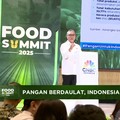 Video: Produksi Beras Sudah 13,5 Juta Ton, Zulhas:2025 Tak Impor Beras