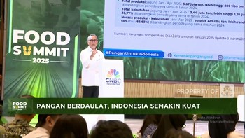 Video: Produksi Beras Sudah 13,5 Juta Ton, Zulhas:2025 Tak Impor Beras