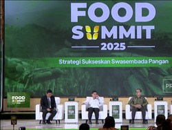 Video: Strategi Sukseskan Swasembada Pangan