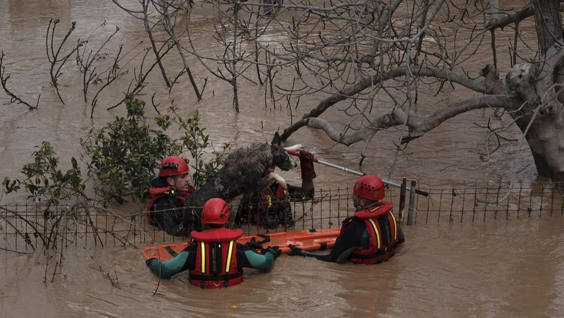 Suasana setelah hujan lebat di Campanillas, Malaga, Spanyol, Selasa (18/3/2025). (REUTERS/Jon Nazca)