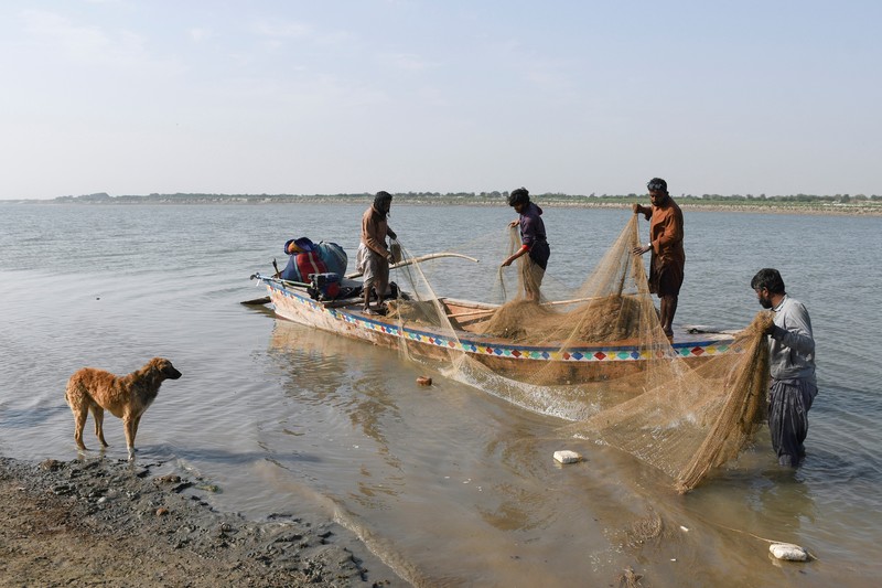 Sungai Indus yang berada di wilayah Jamshoro, Pakistan terus mengalami kekeringan. Debit air pada sungai tersebut juga terus menyusut dari tahun ke tahun. (REUTERS/Yasir Rajput)